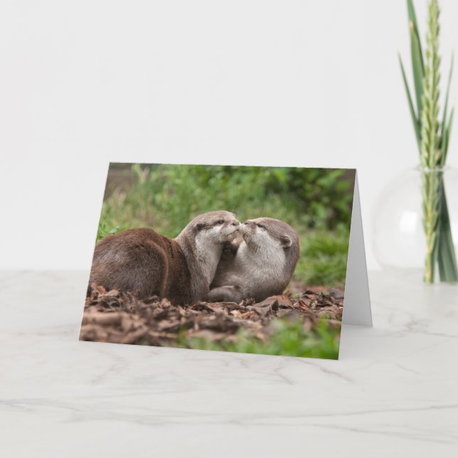 Otter Greeting Card (Front)