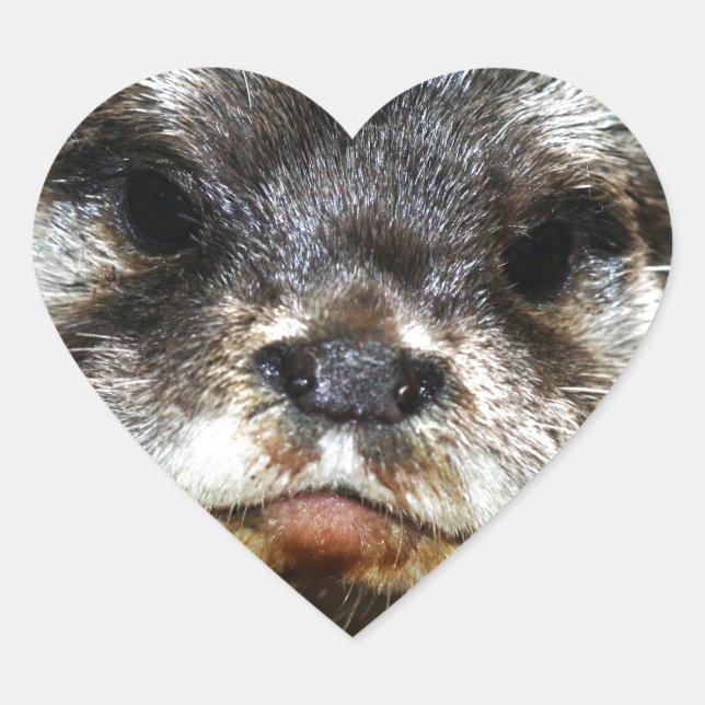 Otter Heart Sticker (Front)