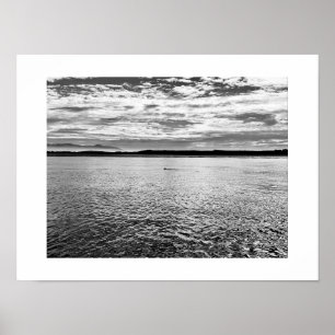 Otter in the Distance Black and White Photography Poster