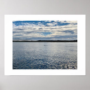 Otter in the Distance California Colour Photograph Poster