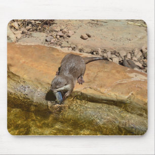 Otter Loving A Delicious Fish, Mouse Pad