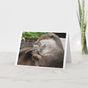 Otter-ly Amazing Holidays Holiday Card