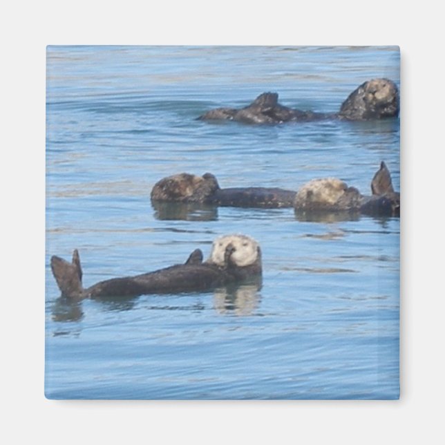Otter Magnet (Front)