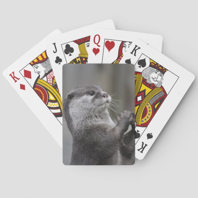 Otter Mastermind Deck of Cards (Back)