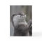 Otter Mastermind Greeting Card
