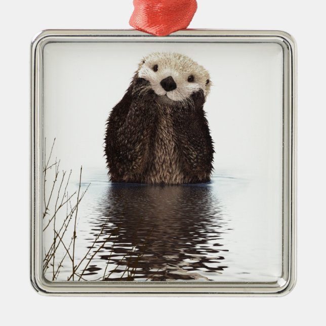 Otter Metal Ornament (Front)