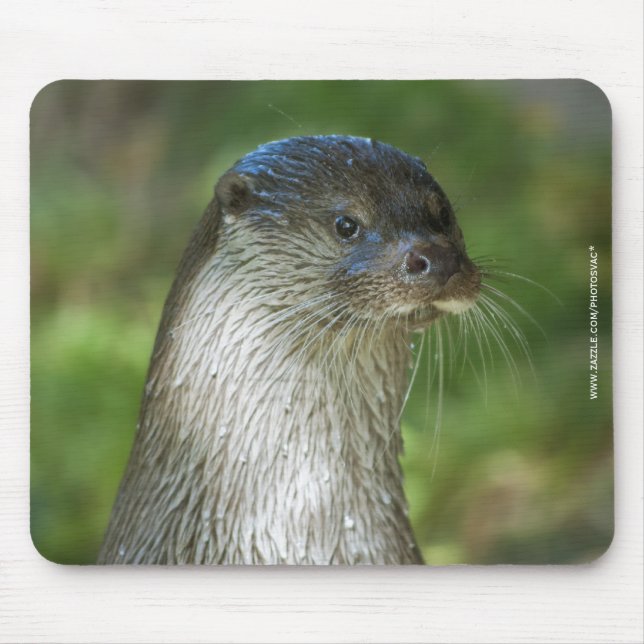 Otter Mouse Pad (Front)