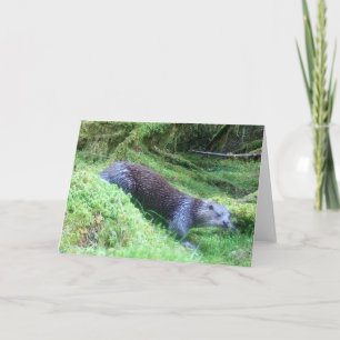 Otter Nature Scene Greeting Card