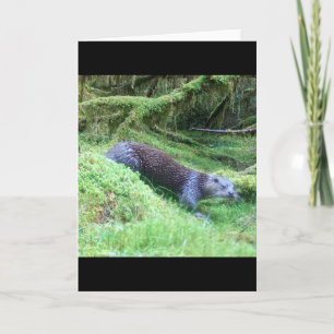 Otter Nature Scene Greeting Card
