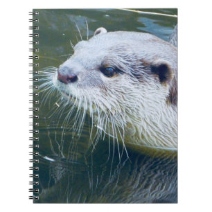 Otter Notebook