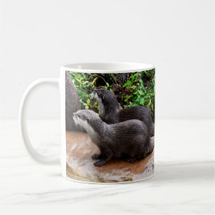 Otter, Otter, Mug De Café Blanc