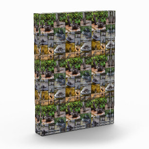 Otter Photo Collage,