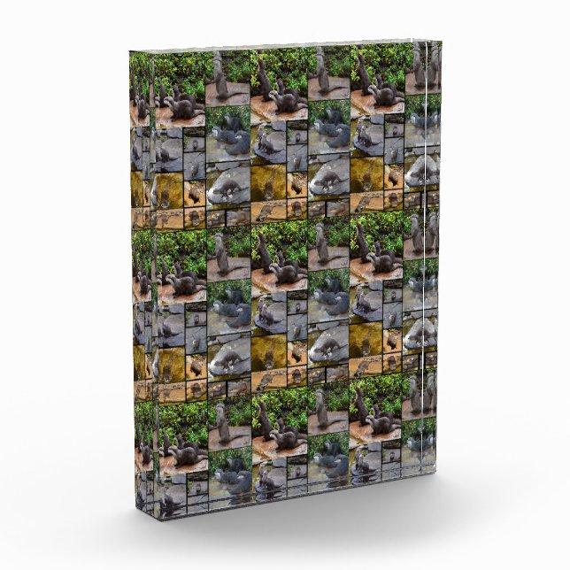 Otter Photo Collage, (Left)