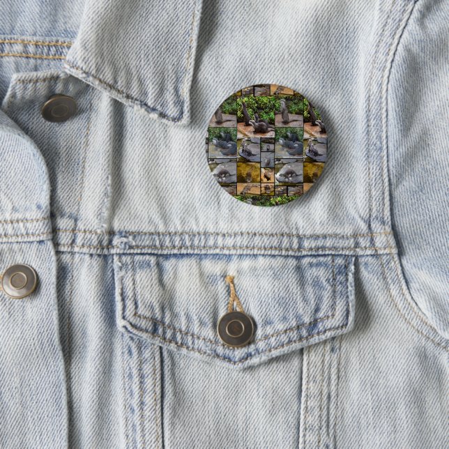 Otter Photo Collage, 2 Inch Round Button (In Situ)