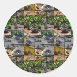 Otter Photo Collage Round Stickers. Classic Round Sticker