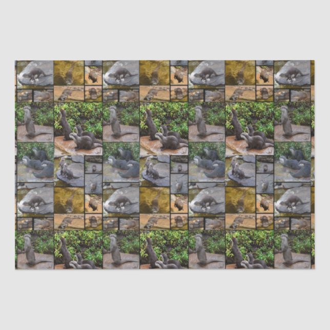 Otter Photo Collage, Tissue Paper (Front)