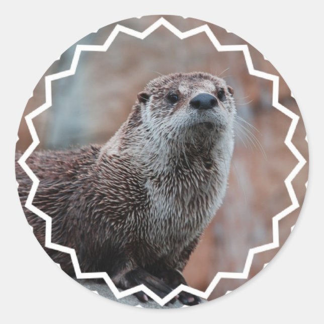 Otter Photo Stickers (Front)