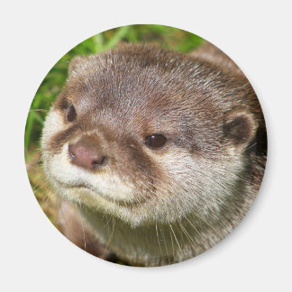 Otter Portrait Magnet