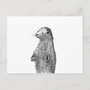 Otter Postcard