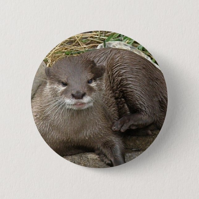 Otter Resting Button (Front)