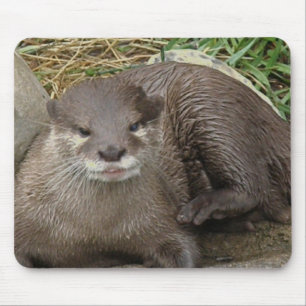 Otter Resting Mouse Pad