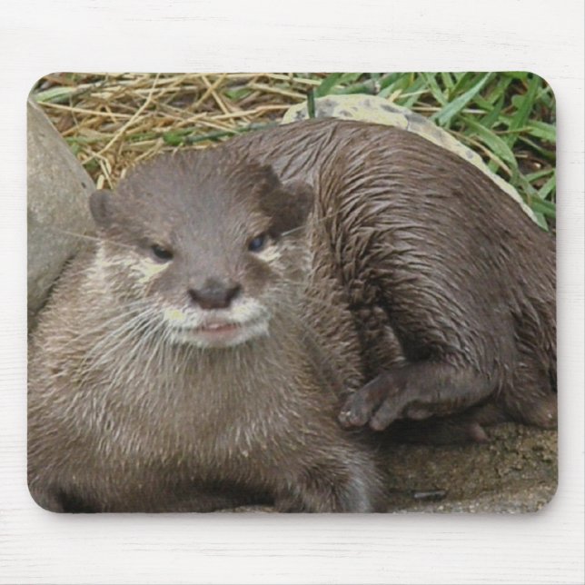 Otter Resting Mouse Pad (Front)