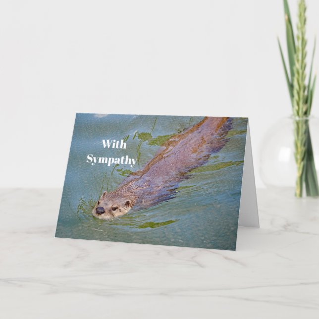 Otter Swimming Wildlife Photo Sympathy Card (Front)
