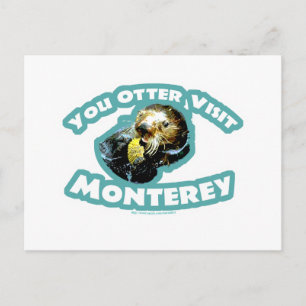 Otter visit Monterey Postcard