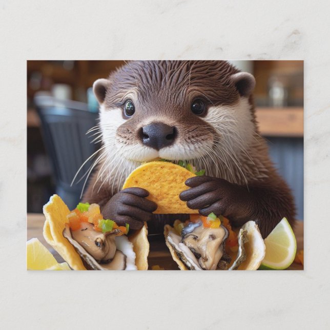 Otter With Osyster Tacos Postcard (Front)