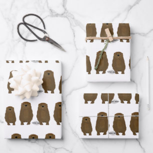 Otter Wrapping Paper Sheets