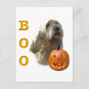 Otterhound Halloween BOO Postcard