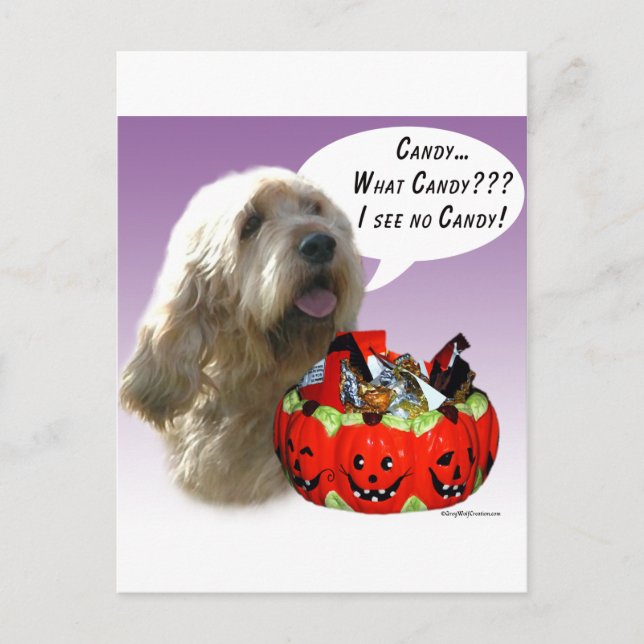 Otterhound Halloween Candy Postcard (Front)