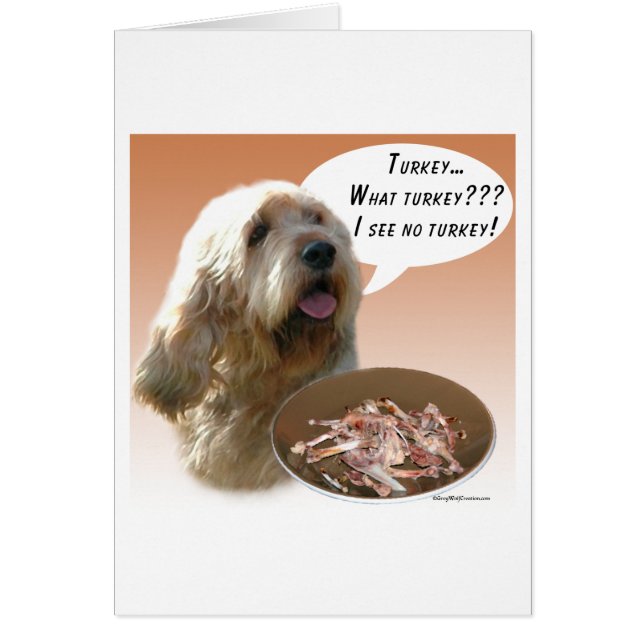 Otterhound Turkey (Front)