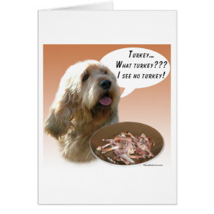 Otterhound Turquie