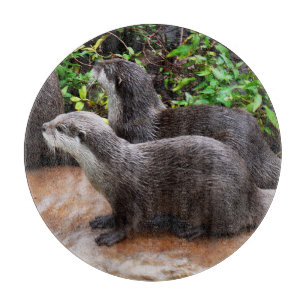 Otterly Adorable Otters, Cutting Board