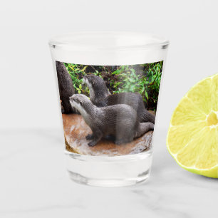 Otterly Adorable Otters, Shot Glass