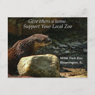 Otterly Adorable Postcard