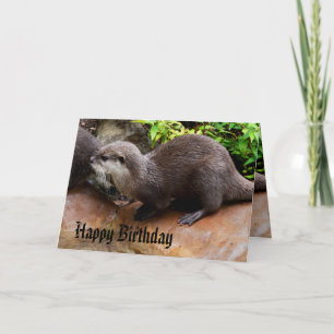 Otterly Adorable Small Grey Otter, Happy Birthday Card