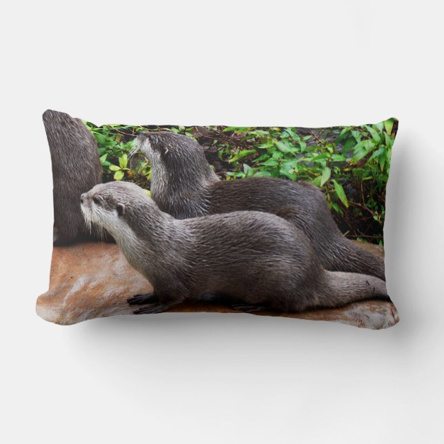 Otterly Cute, Otters, Lumbar Lounge Cushion. Lumbar Pillow (Front)