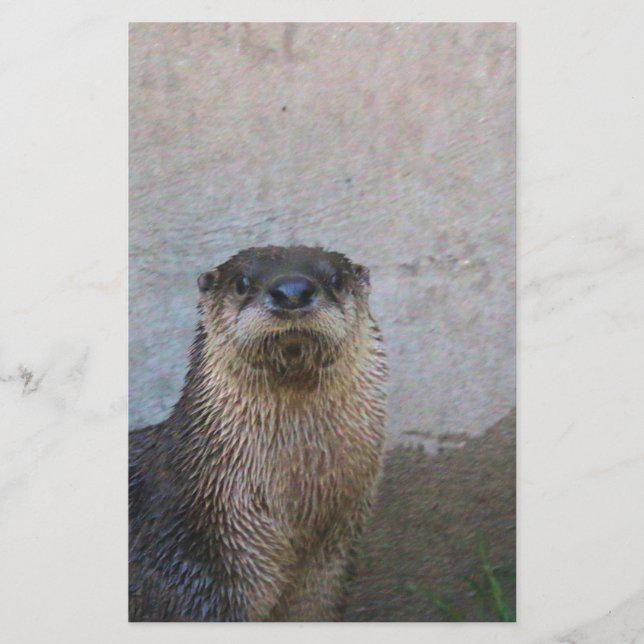 Otterly cute stationery (Front)