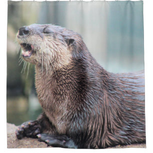 Otterly hilarious