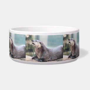 Otterly hilarious