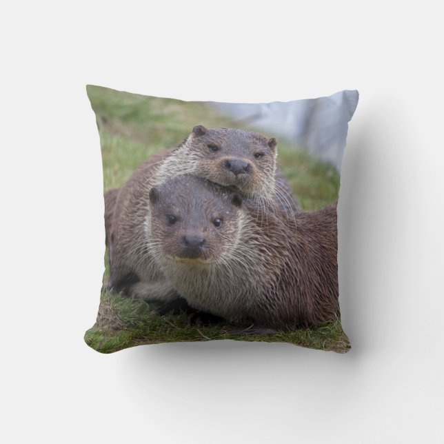 Otterly in Love Pillow (Front)