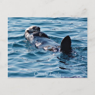 Otterly Lovely Alaska Otter postcard