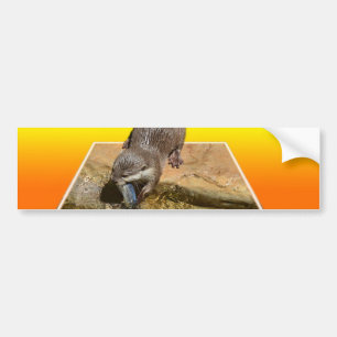 Otterly Orange, Bumper Sticker