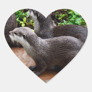 Otterly To Cute, Otter Heart Stickers