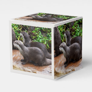Otterly To Cute, Otters, Favor Box