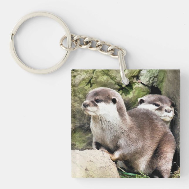 OTTERS (Devant)