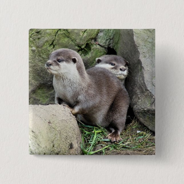 OTTERS 2 INCH SQUARE BUTTON (Front)