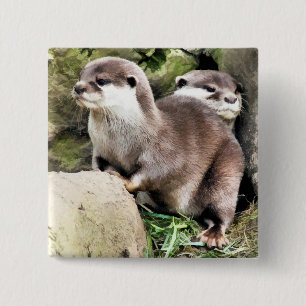 OTTERS 2 INCH SQUARE BUTTON